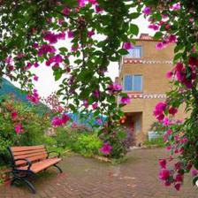 山花爛漫蝶兒飛,挖角壩上等你歸…