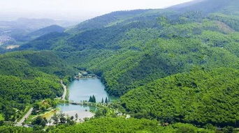 6月7 9日端午假期南京國立美術館舊址 總統(tǒng)府 梅園新村 莫干山徒步 宜興竹海 大縱湖3日游招募