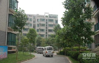 南京銀礦新村 實景圖 2 南京安居客