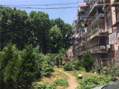 化纖新村圖片相冊,南京化纖新村實景圖 室外圖 小區(qū)配套圖