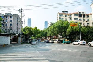 揭秘 我在老新村的 車庫 里,喝了一下午甜蜜下午茶