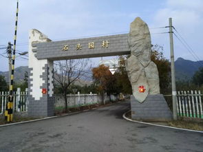 喬布斯 牛頓 夏娃,用三顆蘋果改變世界后,第四顆出現(xiàn)了