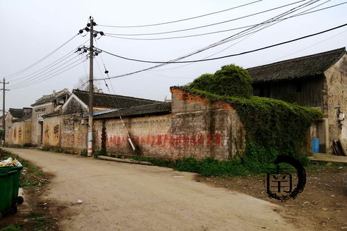 浙 天臺 玉湖七里廟