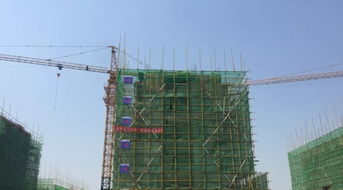 稻田這個村馬上要整村搬遷了 快看是哪個村