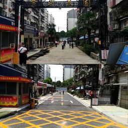 六大行動 提升小區環境 組團服務 推動 三治 創新