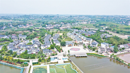 行走鄉村看內江|從名不見經傳到家喻戶曉!尚騰新村是這樣煉成“明星”的